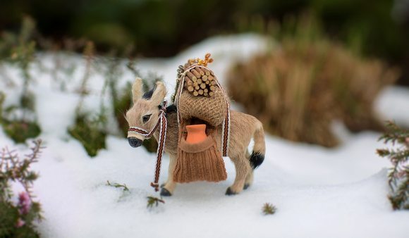 Sridar.Photography: Still Life &emdash; Donkey's Day Out in Snow