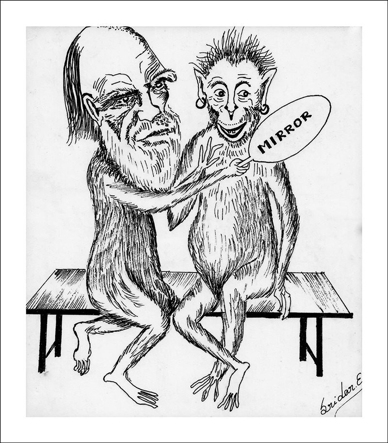 Darwin and Monkey