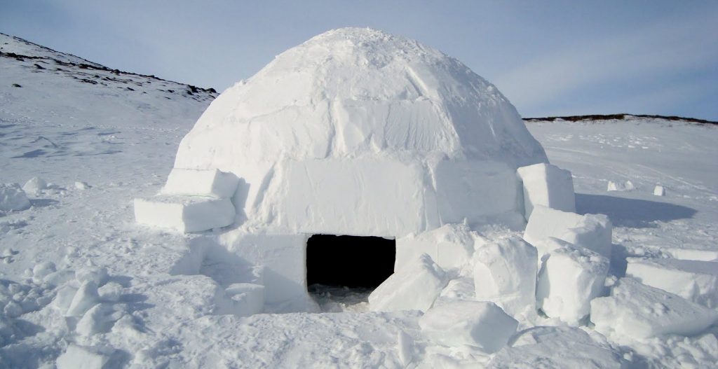 Igloo