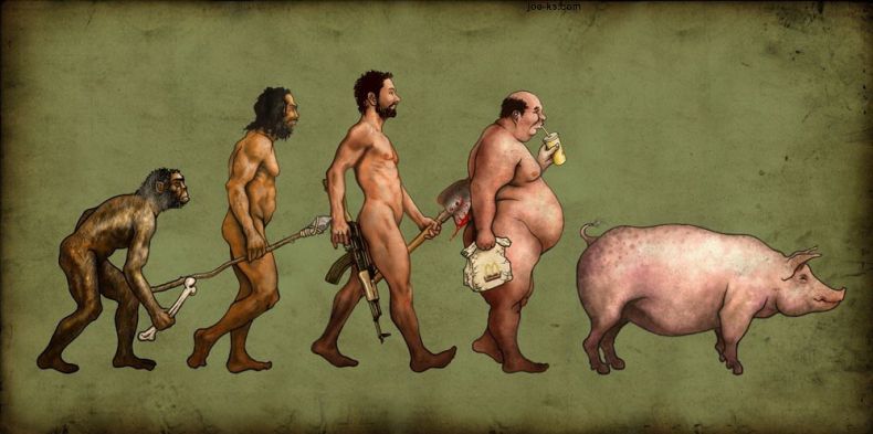 funny-evolution-15