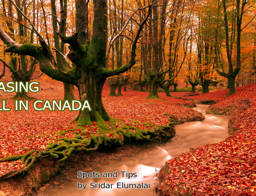 Fall Color Photography Tips – Canada