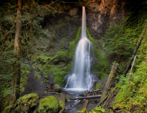 Marymere Falls:  Long Exposure