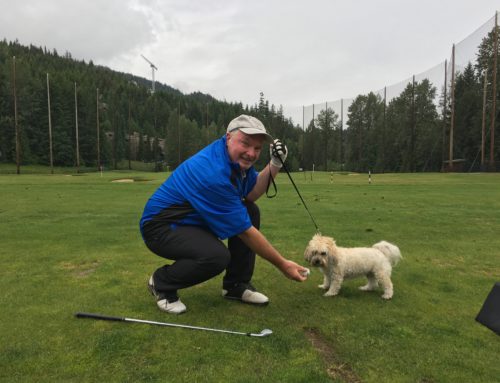 Dogs and golf